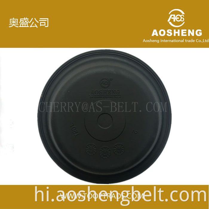 चीन में बने रेनॉल्ट ट्रक के लिए Aosheng T30L डायाफ्राम